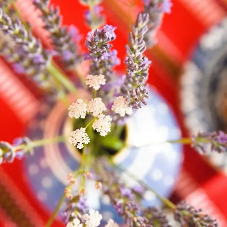 Prázdninový dům Talblick 2 - Ihr Zuhause : Mitten Im Idyllischen Tal