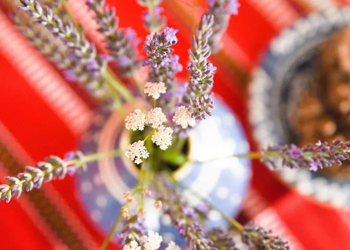 Holiday home Talblick 2 - Ihr Zuhause : Mitten Im Idyllischen Tal